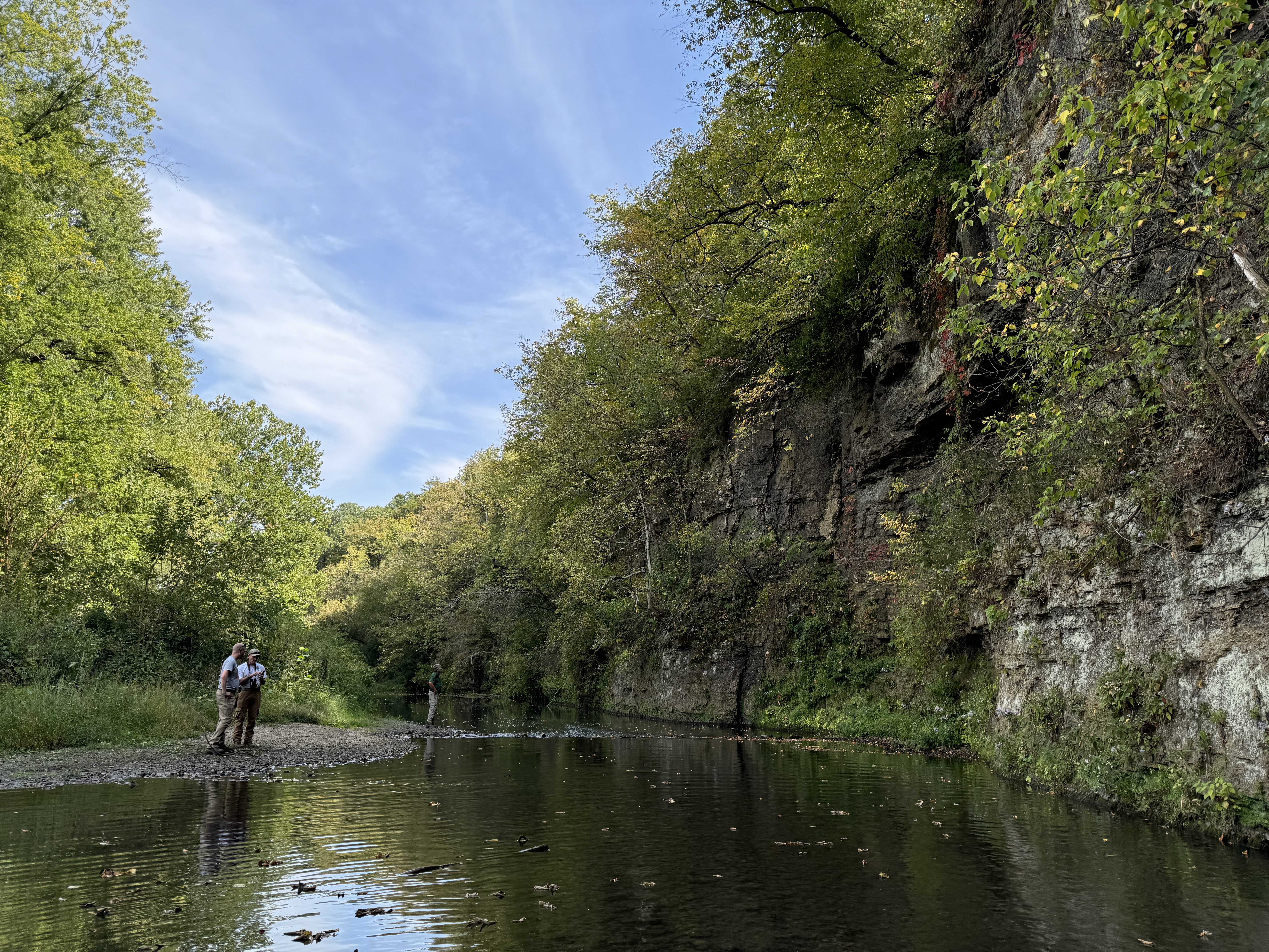 Photo of a gentle river along a cliff face. Two rare plant monitors stand on opposite side of cliff, gazing towards Eurybia furcata.